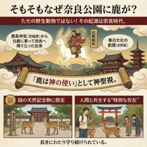 【なぜ?】奈良公園に鹿がいる理由と“脱走しない”不思議──古都に息づく神の使い | ブクブーニュース Powered by NEWS OFF